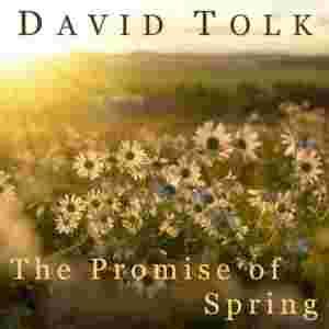 دانلود آهنگ David Tolk The Promise of Spring