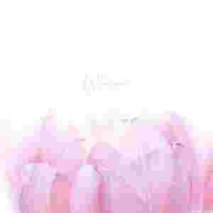 دانلود آهنگ Kendra Logozar Whisper