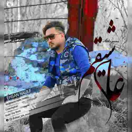 دانلود آهنگ های احسان نایجی اف