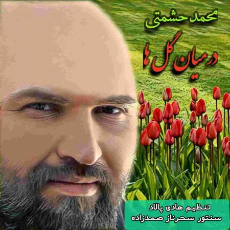 دانلود آهنگ محمد حشمتی در میان گلها