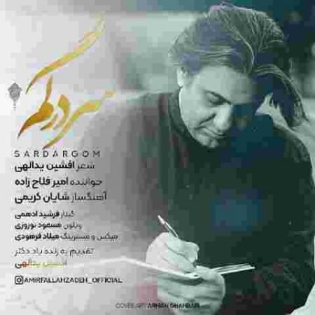 دانلود آهنگ امیر فلاح زاده سردرگم