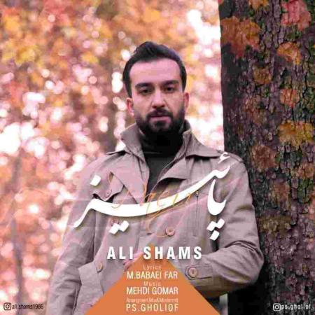 دانلود آهنگ علی شمس پاییز