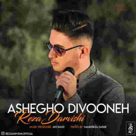 دانلود آهنگ های رضا درویشی