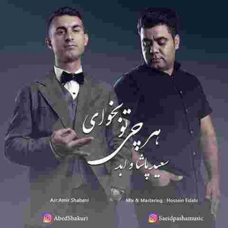 دانلود آهنگ های سعید پاشا