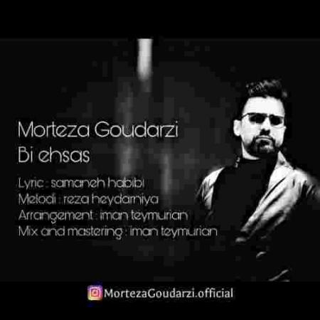 دانلود آهنگ های مرتضی گودرزی