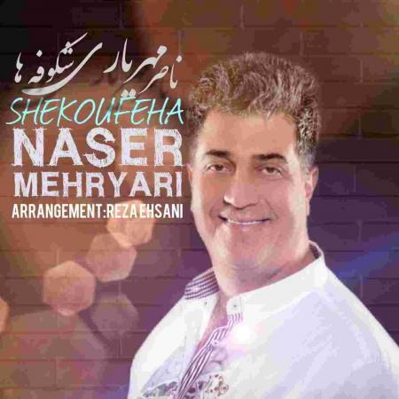 دانلود آهنگ ناصر مهریاری شکوفه ها
