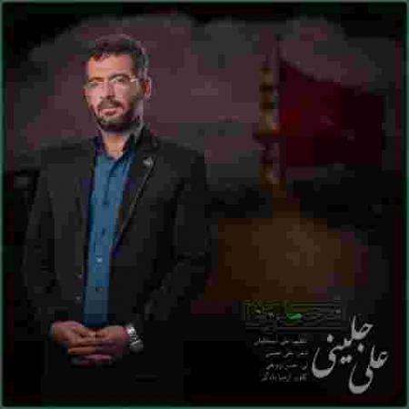 دانلود آهنگ های علی جلینی