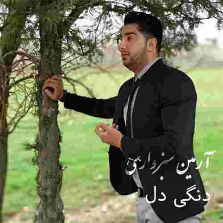 دانلود آهنگ های آرمین سبزواری