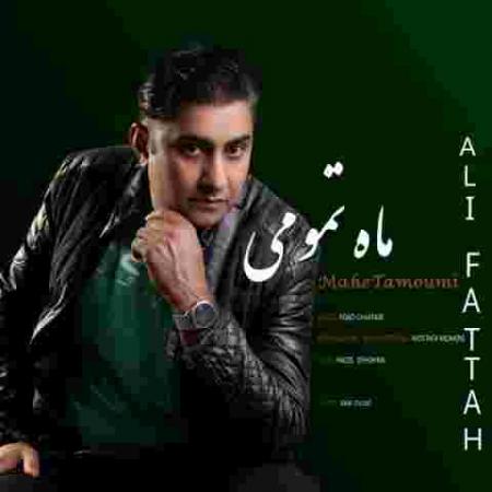 دانلود آهنگ های علی فتاح