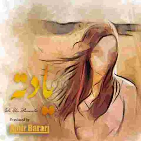 دانلود آهنگ های امیر براری